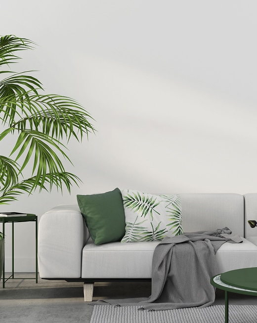 Déco Salon Moderne | Canapé, Coussins et Plante Verte Salon moderne lumineux: canapé blanc, coussins vert uni et à feuilles tropicales, plaid gris, grande plante verte.